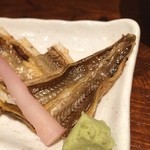 七伍屋 - 先っちょ©風太くん