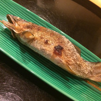 懐石料理 はし本 - 鮎