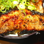 野さか - バラ肉 アップ