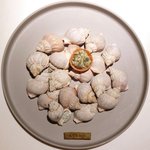 ライラ - ランチコース 5443円 のつぶ貝のタルトと鮑のソース