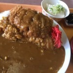 藤 - メガ盛りで有名な藤のカツカレー！これは普通サイズで730円！これでも超大盛り^^