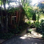 ツリートランク - 