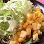 ステーキレストラン がんねん - 平成27年9月 サラダビフォー