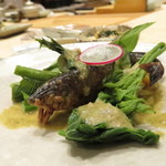 鮨 心白 - 【再訪4】長野県天竜川の天然鮎と長野の天然のウルイ、ヤマブキショウマ