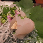 銀座 吉本 - ひらめとあんきも