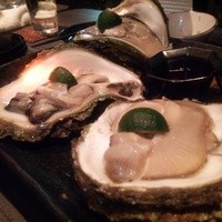 宇田川 紫扇 - 徳島産　特大岩牡蠣
