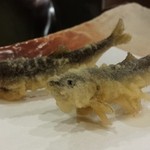 秋田 てんぷら みかわ