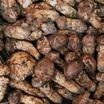 あぜみち山荘 - 料理写真: