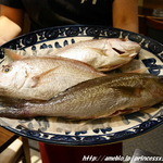 イタリアン トラットリア＆バル 淡路島の恵み ドーニ - 