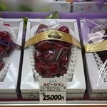 アオイ農園　ぶどうの木 - いつかは食べたい♪