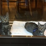 ペンション ひみつ基地 - とらみ（左）しろた（右）