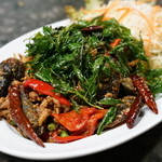 サイフォン - 2015.9 カイヨーマーガパオ