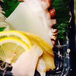 ゆいまーる - しまだこ、せいいか、夜光貝