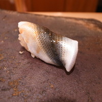 鮨まつもと - 新子～新子