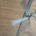 杜のそば家 山本 - 天井