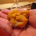 すゝき野 鮨金 - 馬糞雲丹