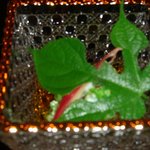 櫻川 - 櫻川　先付　たことオクラの酢の物