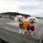 イル キャンティ ビーチェ - お店の前の広場