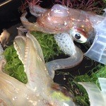 河太郎 - 足も目も動いてます