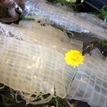 河太郎 - 透き通るよう