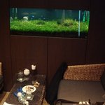 田園調布倶楽部 アクアラウンジ - 