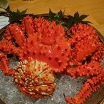 Kaisen Donsantei - 花咲蟹