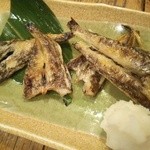 おらい - サービスでもらっちゃいました♪