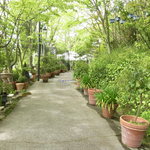 ヴェランダ - ちょっと探検してみましょう。