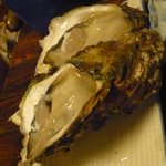 栄屋酒場 - 岩ガキ２個９００円（）大分豊後水道）★★★