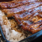 Kappo Ishibashi - つやもいい