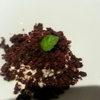 イタリア料理 スペランツァ - ティラミス