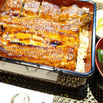 うなぎ創作 鰻樹 - 