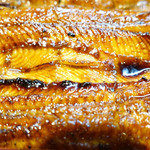 うなぎ創作 鰻樹 - 