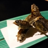 懐石料理 はし本 - 