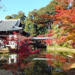 Inodakohi - 高台寺