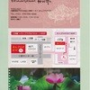 ホイアン ホイアン