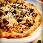 LUPA - Funghi Taleggio
            