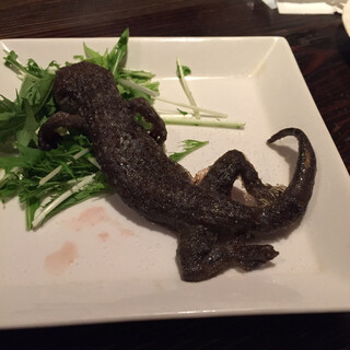 お前らイケんの ゲテモノ料理を堪能する 閲覧は自己責任 食べログまとめ