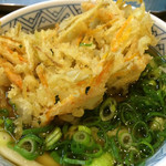 どんどん - かき揚げうどん（430円）