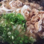 ふたみうどん研究所 - 尾っぽ塩うどん690円に肉190円トッピング