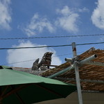 そば処 竹の子 - 屋根の上のシーサー