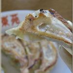 中華料理　東苑 - 餃子