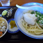 さぬきうどんのたぬき - 