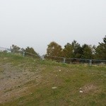 和食処　麻の葉 - ２週間後に再訪するもまたもやガス