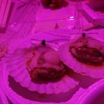 東京湾納涼船 - 