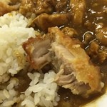 カラーズ - 一応トッピングもから揚げだけ頂く