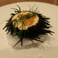 BELON 渋谷店 - 冷製 生ウニのプリン キャビア添え 680円