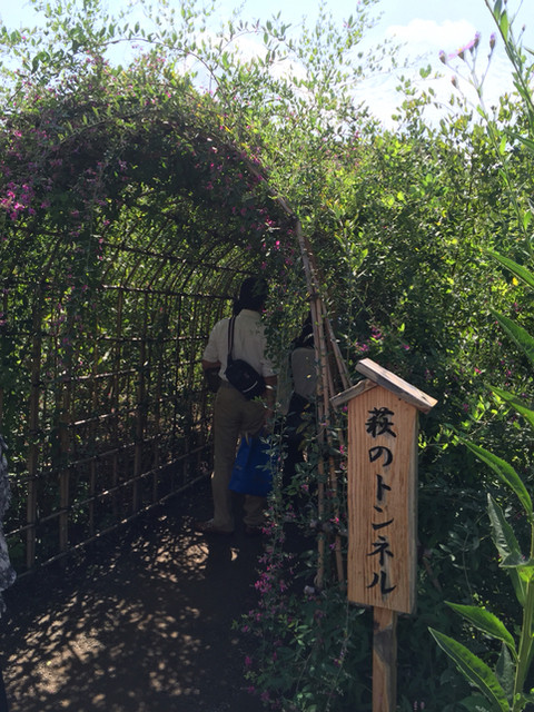 向島百花園の茶店は八代続く歴史を紡いだ老舗とは思えぬ気軽な雰囲気 By Nao Sann 茶亭さはら 東向島 喫茶店 食べログ 向島百花園の茶店は八代続く歴史を紡いだ老舗とは思えぬ気軽な雰囲気 By Nao Sann 茶亭さはら 東向島 喫茶店 食べログ