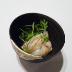 ナクレ - 表面だけさっと火をとおりｓた海老とマイクロニンジン