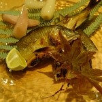旨い料理・旨い酒 じょうじ - 